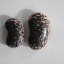 豆屋おすすめ 高原花豆の煮豆 高原紫花豆 レシピ 作り方 By 築地 豆雑穀問屋 三栄商会 楽天レシピ 豆屋おすすめ 高原花豆の煮豆 高原紫花豆 レシピ 作り方 By 築地 豆雑穀問屋 三栄商会 楽天レシピ